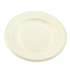 Disposable Flat Plastic Plates x25
